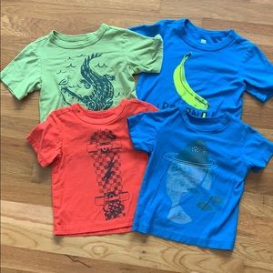 Tea collection baby boy t-shirts